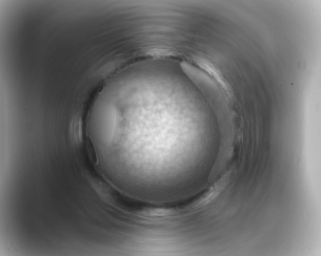 X0000088830205200706211821