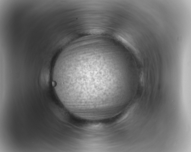 X0000088830206200706211821