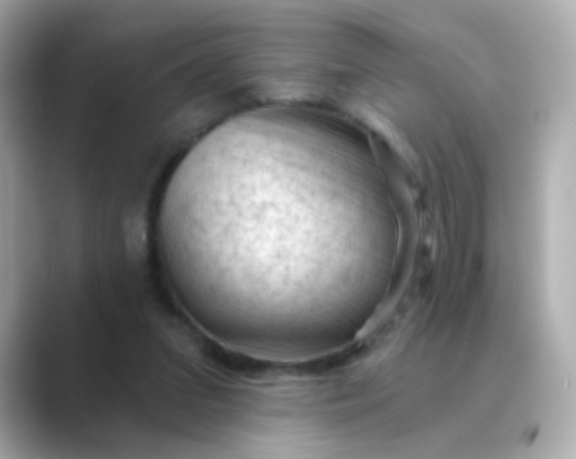 X0000088830207200706211821