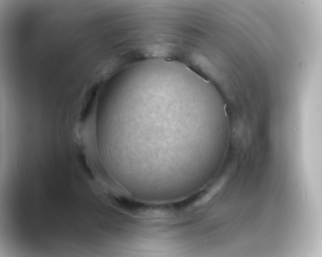 X0000088830209200706211820