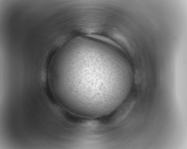 X0000088830210200706211820