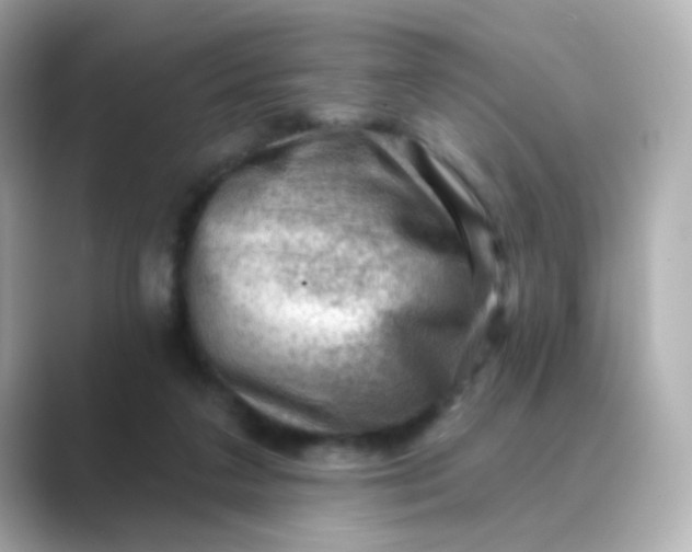 X0000088830211200706211820