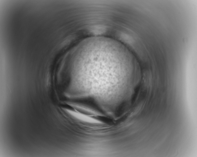 X0000088830212200706211820