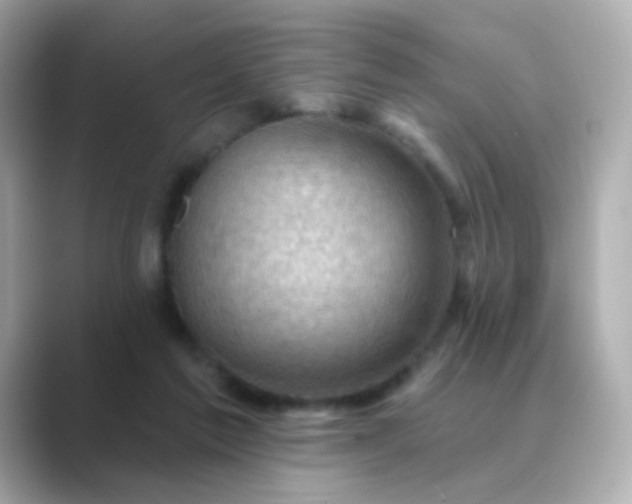 X0000088830213200706211820