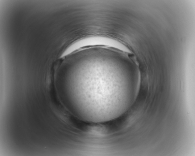 X0000088830215200706211820