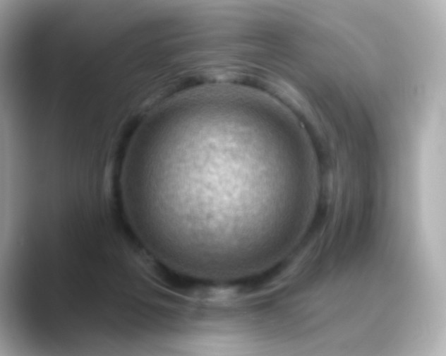 X0000088830217200706211820