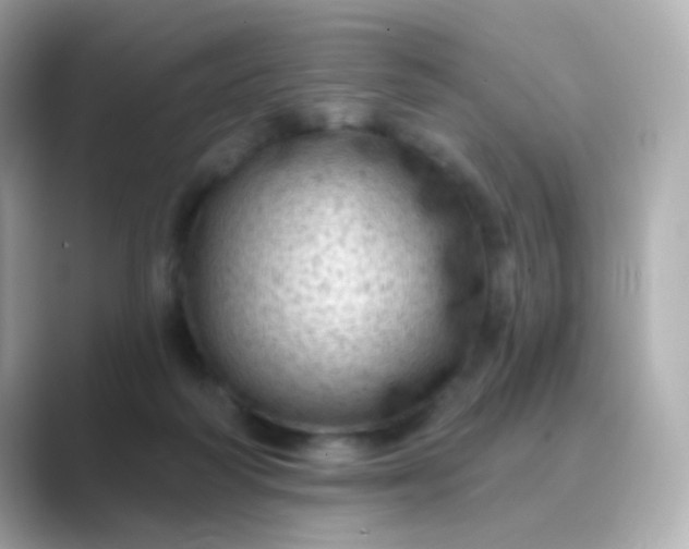 X0000088830218200706211820