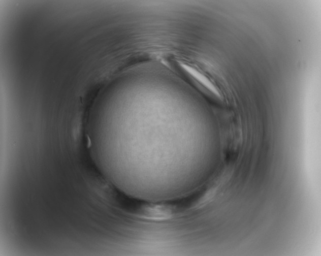 X0000088830221200706211820