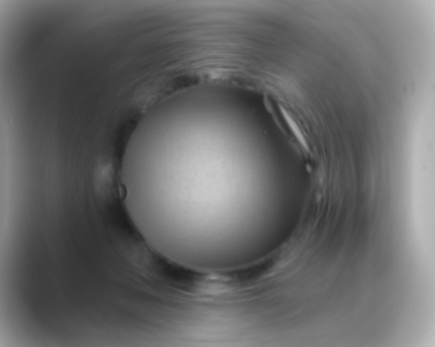 X0000088830222200706211820