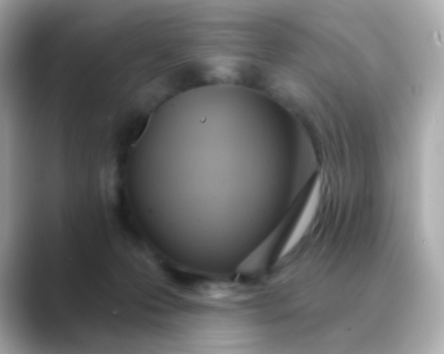 X0000088830223200706211820