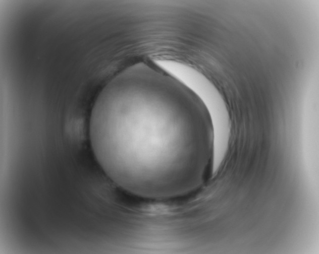 X0000088830224200706211820