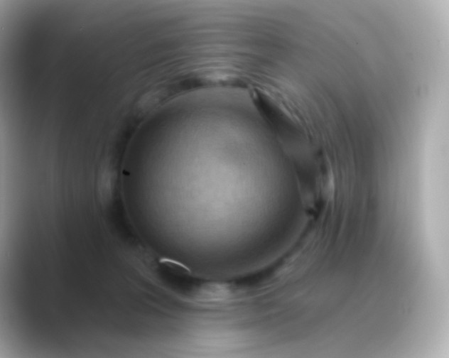 X0000088830227200706211820