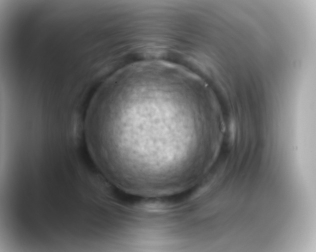 X0000088830228200706211820