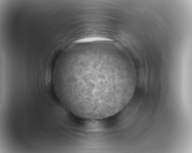 X0000088830230200706211820