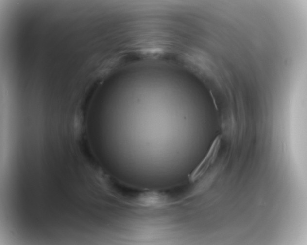 X0000088830231200706211820