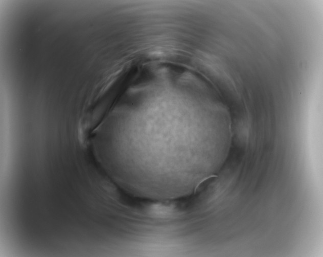 X0000088830232200706211820