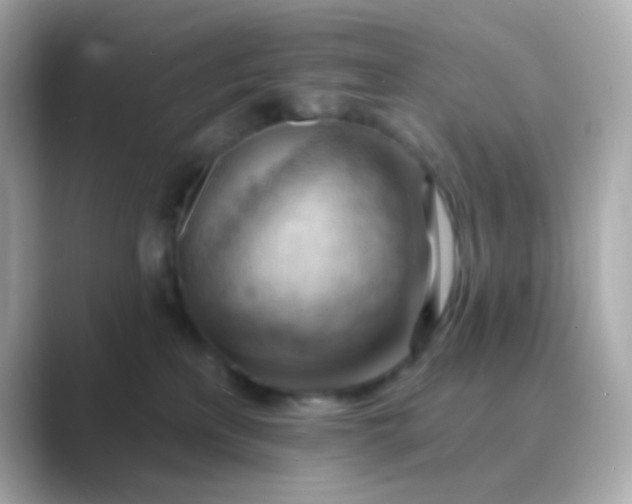 X0000088830233200706211820