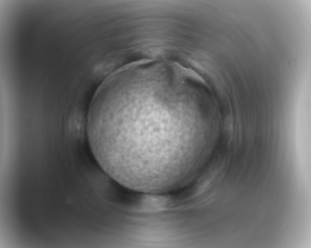 X0000088830234200706211820