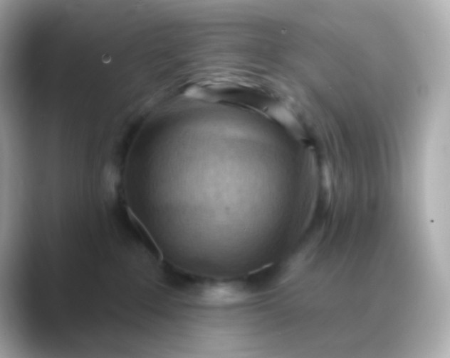 X0000088830235200706211820