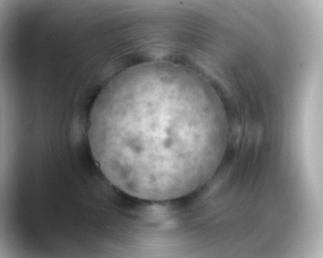 X0000088830236200706211820