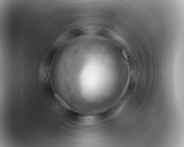 X0000088830237200706211820