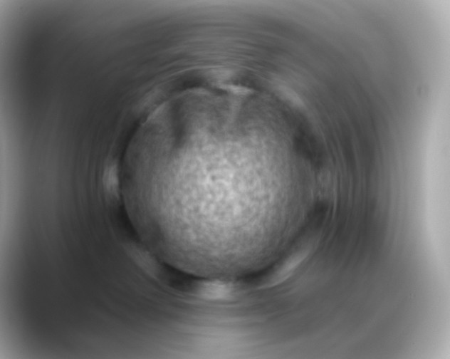 X0000088830238200706211820