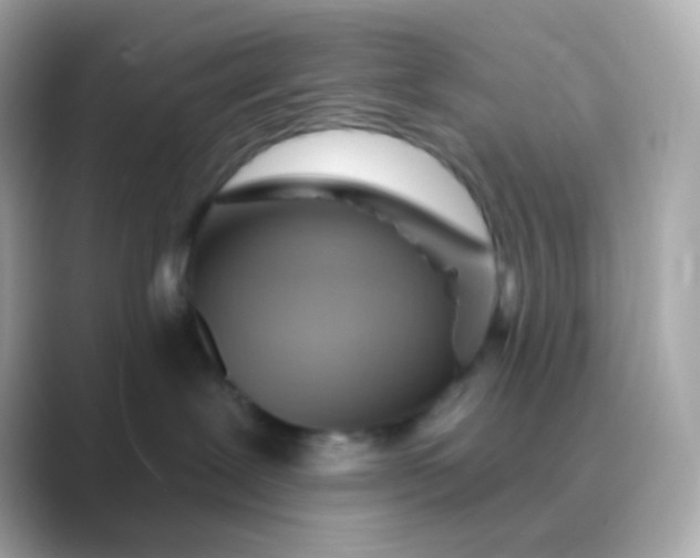 X0000088830239200706211820