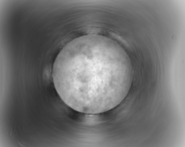 X0000088830240200706211820