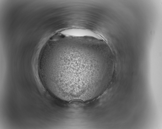 X0000088830241200706211820