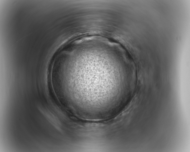 X0000088830242200706211820