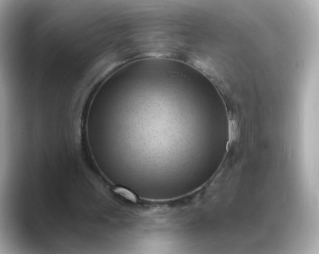 X0000088830243200706211820