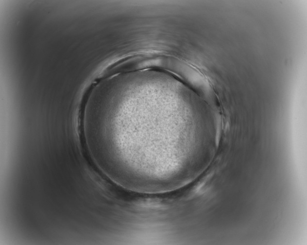 X0000088830244200706211820