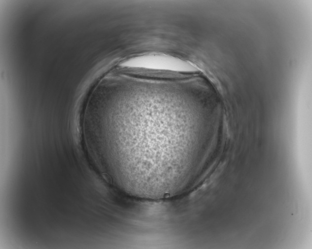 X0000088830245200706211820