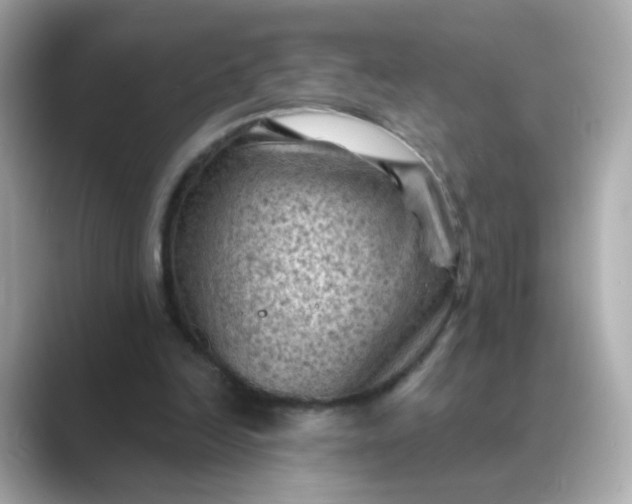 X0000088830246200706211820