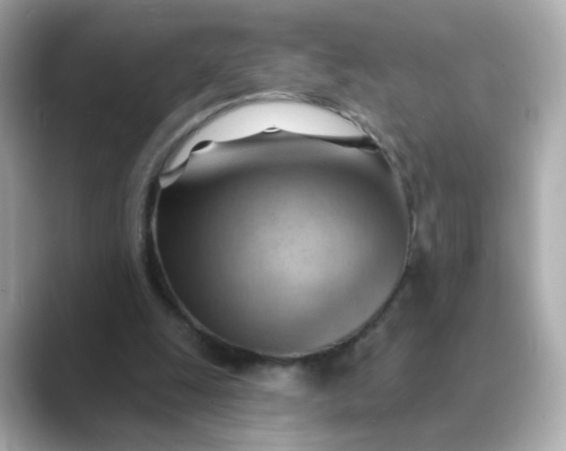 X0000088830247200706211820