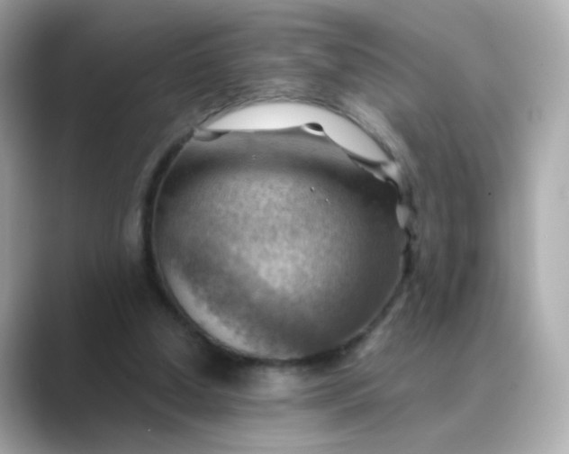 X0000088830250200706211820