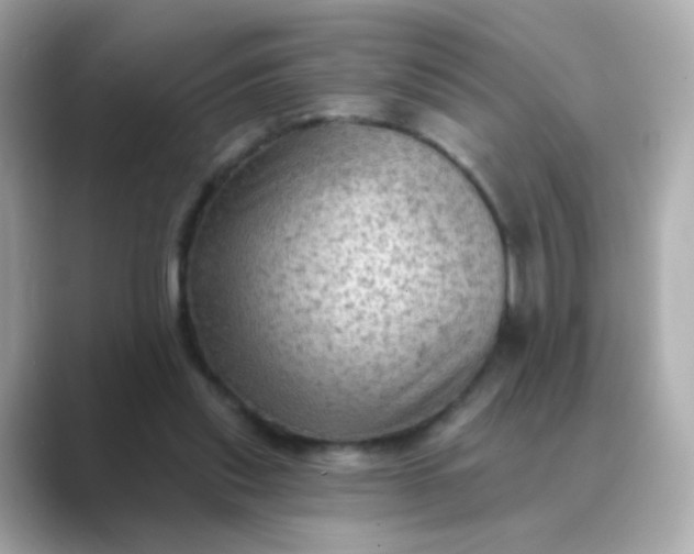 X0000088830253200706211820