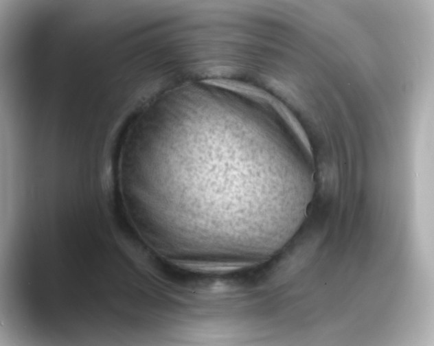 X0000088830254200706211820