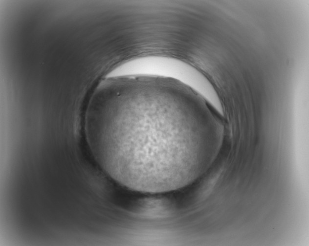 X0000088830255200706211820