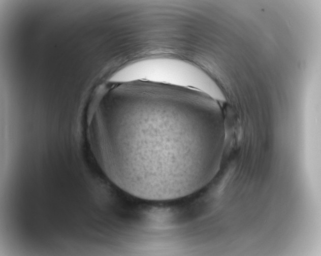 X0000088830256200706211820