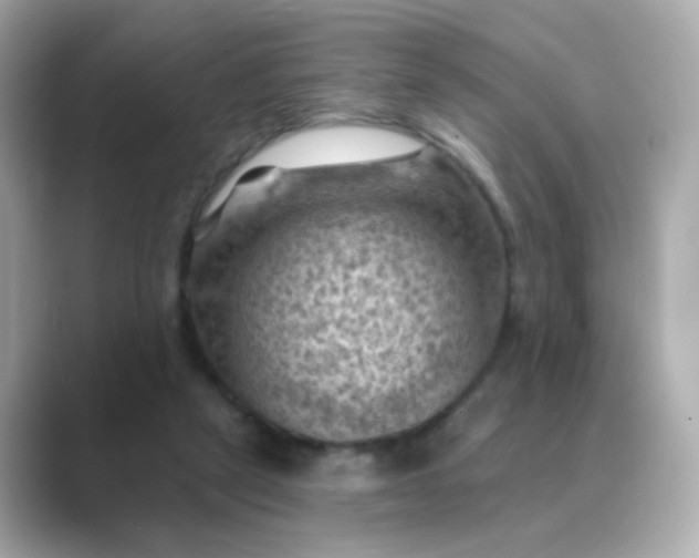 X0000088830257200706211820