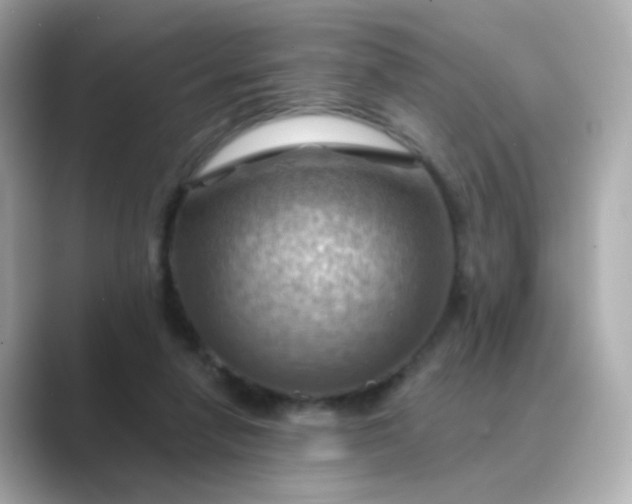 X0000088830258200706211820