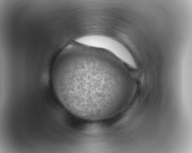 X0000088830259200706211820