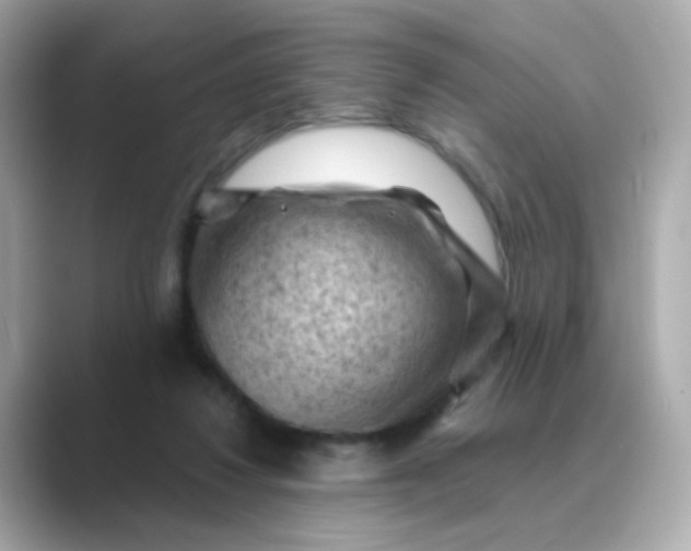 X0000088830260200706211820