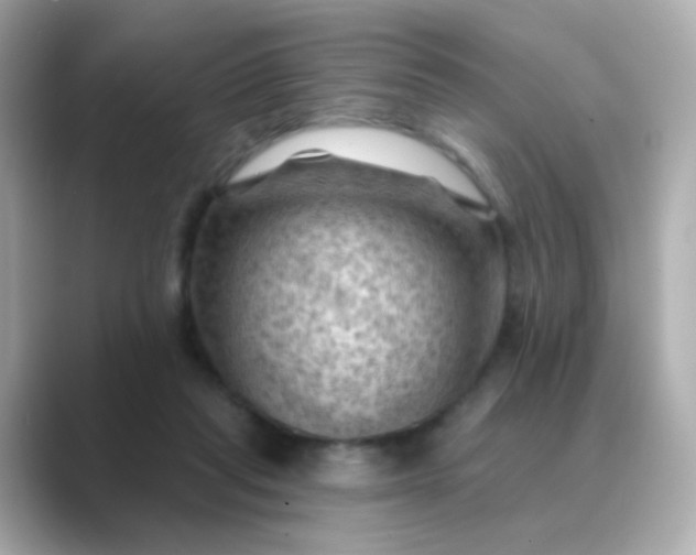 X0000088830261200706211820