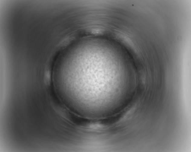 X0000088830262200706211820