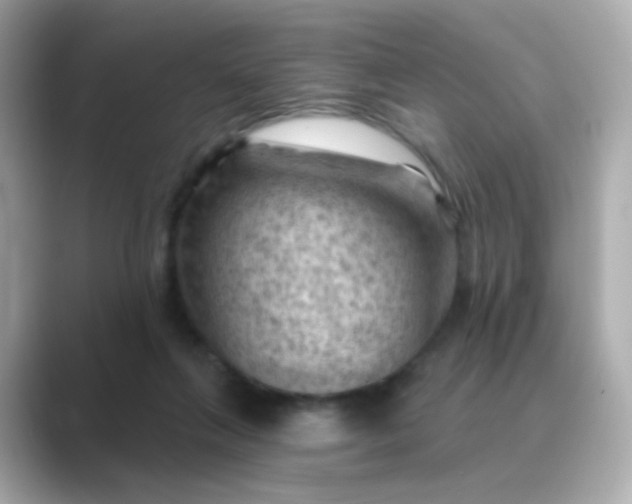 X0000088830263200706211820