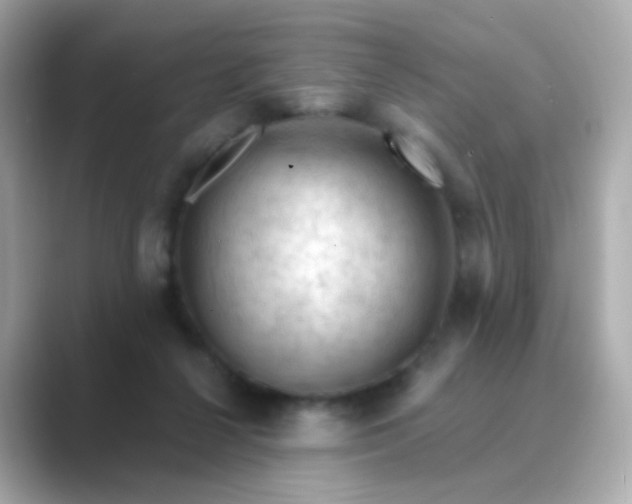 X0000088830264200706211820