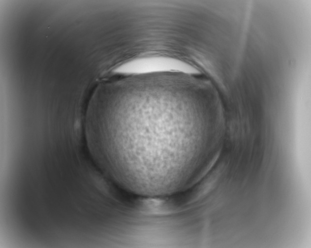 X0000088830265200706211820