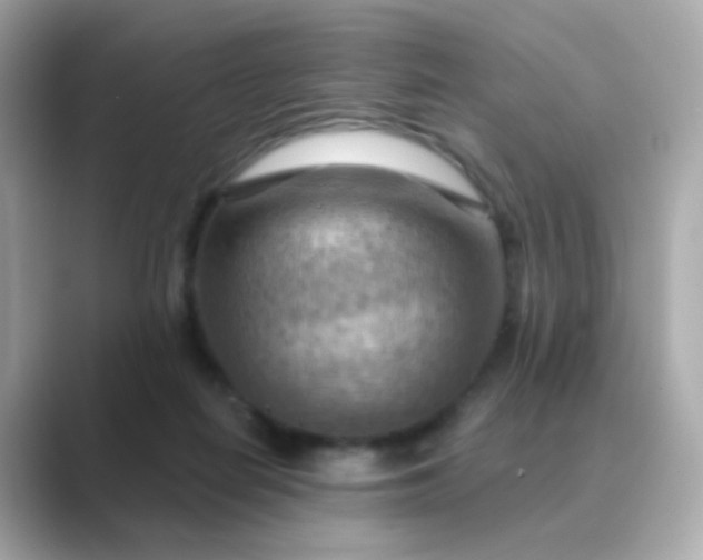 X0000088830266200706211820